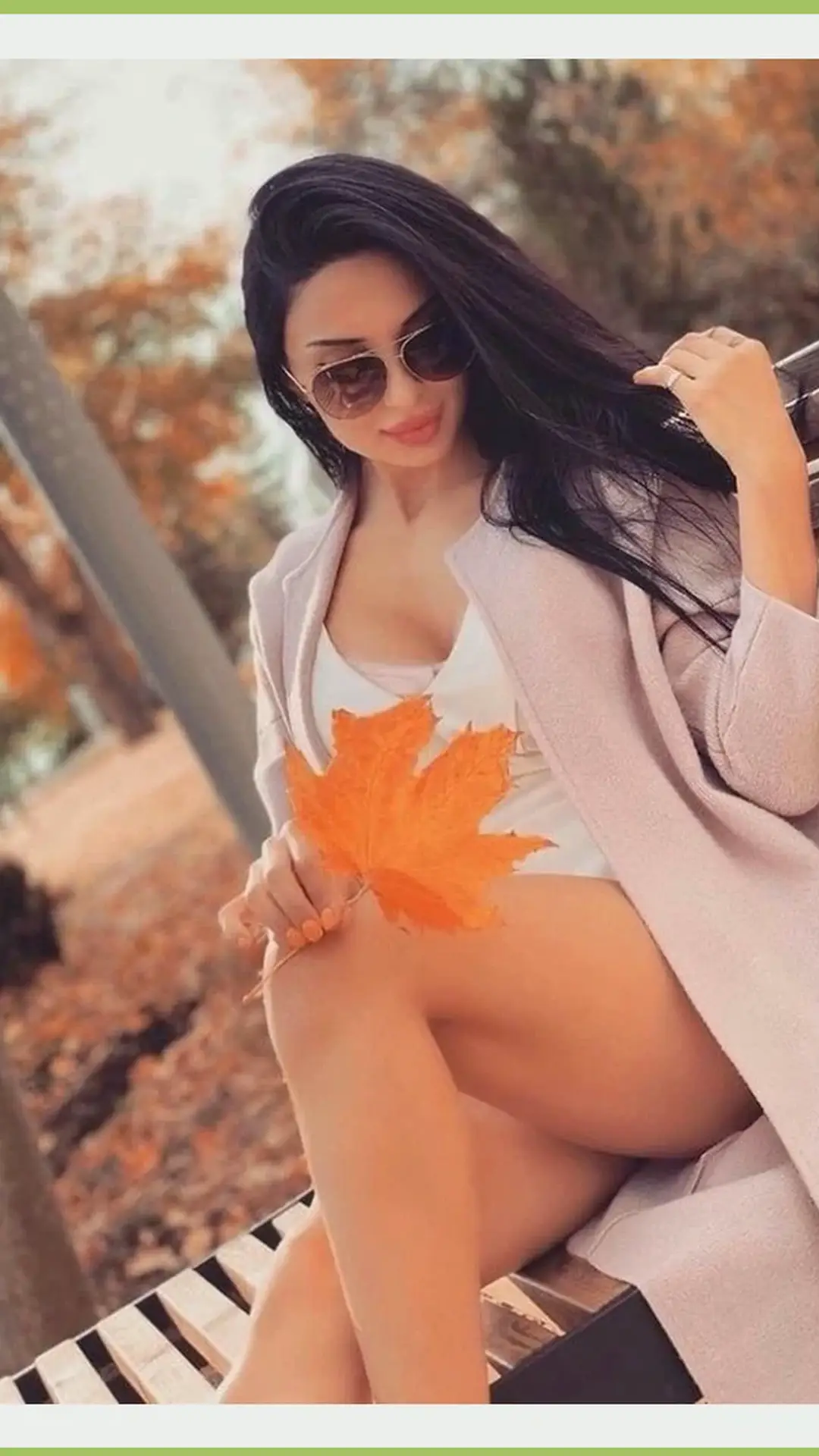 Ankara escort makalesi için kütüphane görseli 28, esc kutuphane